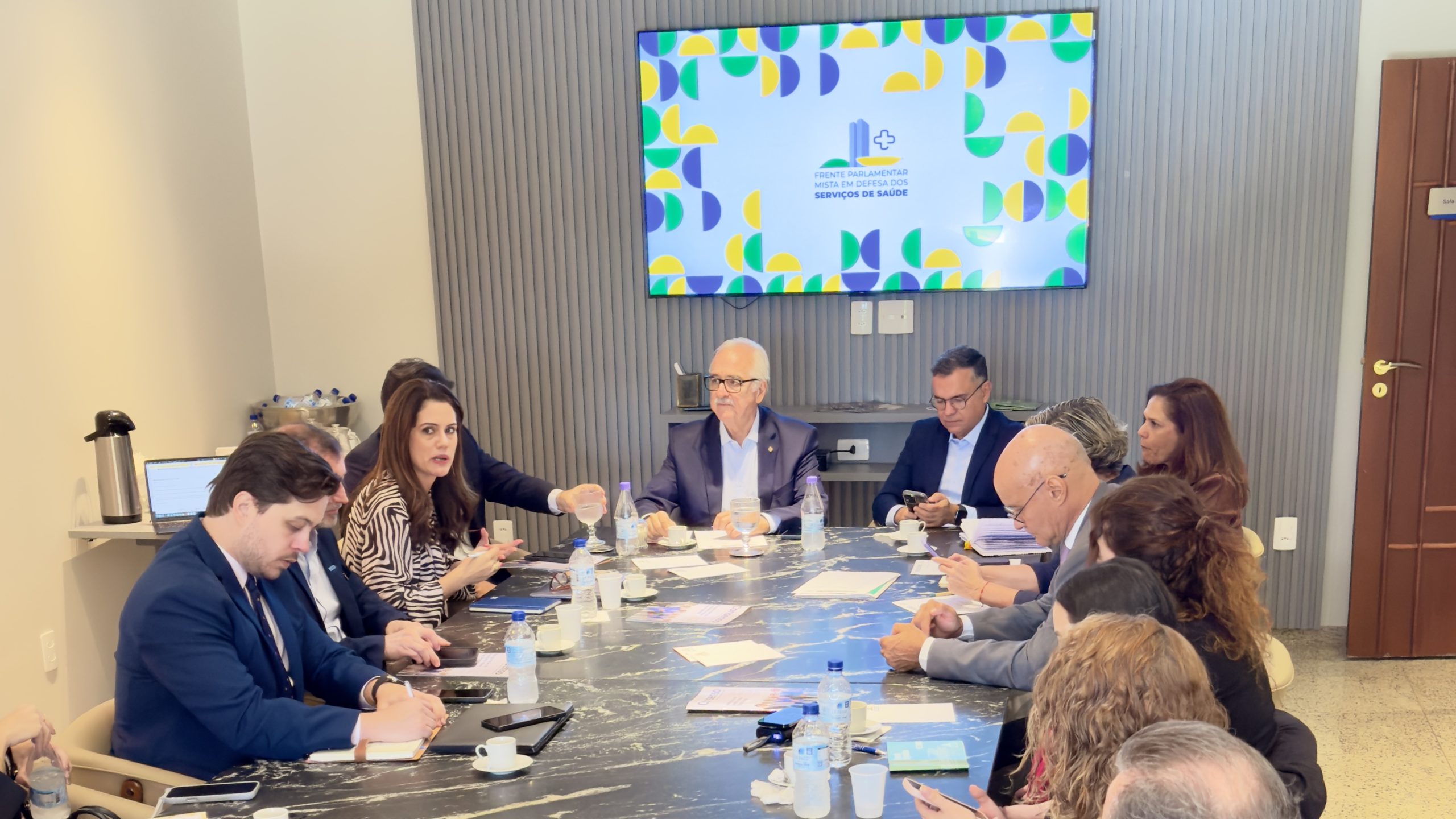 12ª Reunião da Frente Parlamentar reforça articulação por pautas estratégicas da saúde